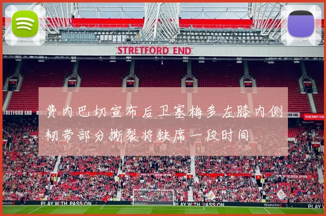 费内巴切宣布后卫塞梅多左膝内侧韧带部分撕裂将缺席一段时间