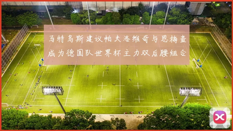 马特乌斯建议帕夫洛维奇与恩梅查成为德国队世界杯主力双后腰组合